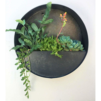 Macetas Modernas Redondas de Metal Galvanizado Ecológicas para Pared, Decoración Interior y Exterior, Maceta Colgante de Hierro para Suculentas y Hierbas, Decoración para Hogar y Jardín