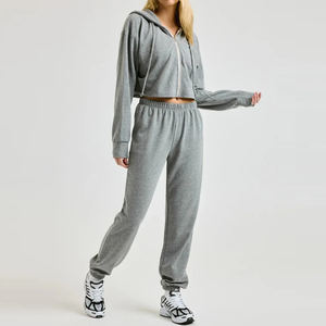 Velours fermeture éclair automne épais haut court survêtement femmes ensemble décontracté vêtements de sport deux pièces à capuche ensemble de haute qualité à bas prix - Product Image 2