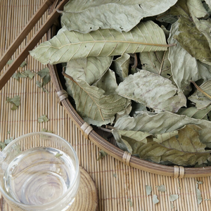 Polvo Fino de Hoja de Guayaba Deshidratada, Precio de Fabricante, Oferta Comercial por Volumen, Hojas Puras de Plantas, Empaquetado a Granel de Exportador Vietnamita - Product Image 3