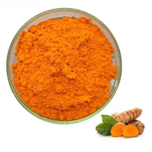 Extracto de Cúrcuma Puro Premium al 100%, 95% en Polvo, Extracto de Raíz de Cúrcuma de Alta Potencia, Rico en Curcuminoides para el Apoyo Inmunológico y Articular - Product Image 3