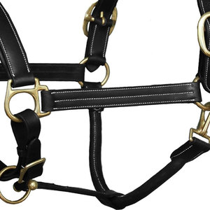 Cabestro para Caballo de Diseño Personalizado, de Cuero, Ligero y Transpirable, a Precio Económico y Alta Calidad - Product Image 5