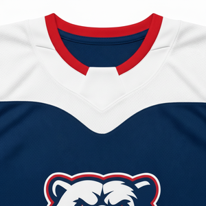 Maillot de hockey sur glace personnalisé imprimé respirant de haute qualité 100% polyester, meilleure qualité en gros avec nom et numéro - Product Image 3