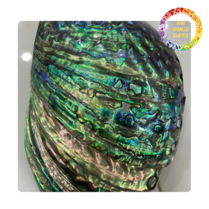 Decorative <b>Abalone</b> <b>Shell</b> With Shiny Green Surface For Jewelry And Decorative Items - Product Image 4