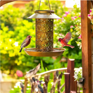 Hollow Pattern Metal Hanging <b>Bird</b> Feeder for Outdoor Garden Yard Decoration Vintage Wild <b>Bird</b> <b>Seed</b> Tray Feeder Station - Product Image 6