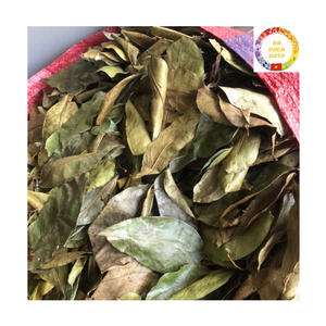 ชาสมุนไพรต้านอนุมูลอิสระ |   ใบกระเจี๊ยบเขียวแห้งพรีเมียมขายส่งจำนวนมาก - Product Image 5