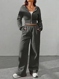 Survêtement gris à capuche pour femme, manches longues, couleur unie, sweat-shirt décontracté, pantalon à taille élastique, respirant, poids moyen, pour le jogging - Product Image 1