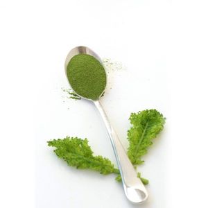 Poudre de chou frisé naturelle premium / Poudre de feuilles de chou frisé vert biologique déshydratée en vrac - Product Image 6