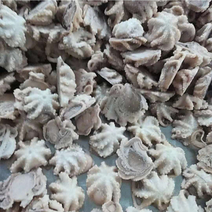 Pulpo Bebé Congelado de Primera Calidad al por Mayor, Grado Alimenticio, Stock Disponible, Proveedor de Exportación Confiable - Product Image 3