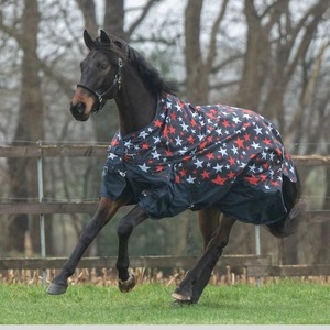 Customized Comfortable High Quality Wholesale Best Design Light <b>Weight</b> Custom Nylon Waterproof Luxury Horse Riding Rugs - Product Image 2