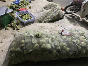 กรุบกรอบบริสุทธ์และบริสุทธิ์ลองเมล็ดบัวอบแห้งวันนี้ - Product Image 3