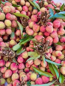 Litchis surgelés IQF de qualité supérieure |   Emballé sous vide |   Usine au Vietnam |   Approvisionnement en gros pour l'exportation - Product Image 2