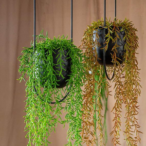 Black Metal Plant Hanger,Metal Wall and Ceiling Hanging Planter, Modern Planter, Mid Century Flower Pot Plant Holder Minimalist - Product Image 6