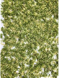 Té Herbal Desintoxicante de Flor de Papaya Macho Seca Natural de Venta Caliente, Sostenible, para Bienestar, de Blue Lotus Farm OEM - Product Image 2