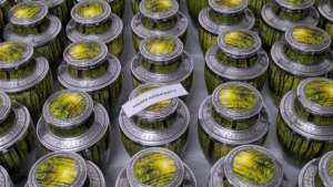 Forest Serenity Metal Cremation <b>Urn</b> - <b>Large</b> Adult Funeral <b>Urn</b> for Ashes - Manufacturer Wholesale Memorial <b>Urns</b> Supplies - Product Image 4