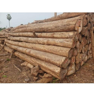 Proveedor Mayorista de Troncos de Madera de Teca de Primera Calidad para Fabricantes de Muebles, Importadores, Exportadores y Comerciantes - Product Image 3