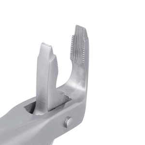 Forceps d'extraction atraumatique pour 36 incisives inférieures, instrument dentaire chirurgical en acier inoxydable pour l'élimination des dents, outil de chirurgie buccale - Product Image 5