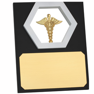 Premium Doctor Recognition <b>Plaques</b> Metal Or Wood Medical Appreciation Award Elegant Custom Decor For Hospitals And Clinics - Product Image 2