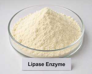 Top Selling Lipase Enzyme Powder with High Enzymatic Activity for Oil Degradation Food Processing and Biotechnology Use for Sale - Product Image 2