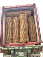 100% Natürliche Kokosfaser-Twist-Coir-Seilmatte Flexibles Netz mit Anpassbarem Durchmesser Straßenpflastermaterial Vietnam-Produkte