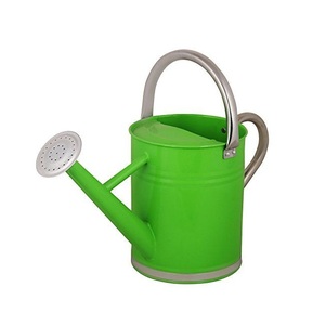 Regadera Decorativa Moderna de Metal, con Superficie Esmaltada Impresa, Ligera y Duradera, para Interiores y Exteriores - Product Image 6