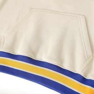 Sweat-shirt personnalisé SGRho pour femme, hiver, broderie frontale, molleton de coton, col rond, haute qualité, vêtement grec de sororité, pull - Product Image 4