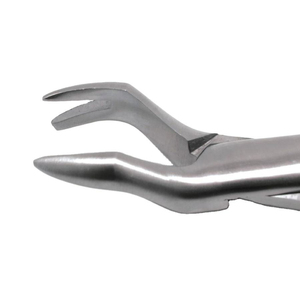 Forceps d'extraction dentaire en acier inoxydable, pinces pour enlever les dents, instrument chirurgical dentaire pour chirurgie orale - Product Image 2