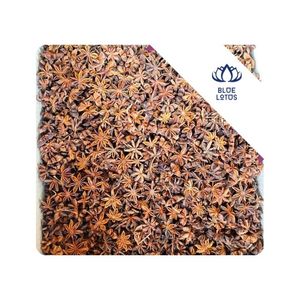 [MEILLEURES VENTES] l Anis étoilé en gros pour les services de restauration et les usines de transformation alimentaire, approvisionnement mondial, Vietnam - Product Image 1