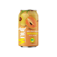 330ml Jus Pepaya NFC Non-GMO Bebas Susu Bebas Gluten Untuk Anak & Dewasa Kemasan Kotak Label Pribadi Sampel Gratis