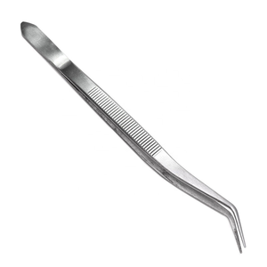 Pince dentaire universitaire en acier inoxydable à pointe dentelée angulaire et à forte adhérence, idéale pour l'insertion de tampons de coton – Meilleures ventes - Product Image 2