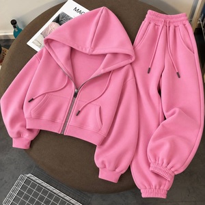 2026 <b>Women</b>’s Light Blue Zip Up Hoodie <b>Jogger</b> Set Two Piece <b>Fleece</b> Tracksuit Casual Sportswear Sweat Suit Wholesale - Product Image 5