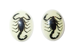 Escorpión Negro, Espécimen Real, Cabujón de Plástico Ovalado de 30x40 mm, Base Plana Brillante para Manualidades y Joyería - Product Image 2