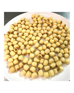 SNACK DE SEMILLAS DE LOTO CRUZADAS AL POR MAYOR - SABOR NATURAL - MARCA PRIVADA OEM - Product Image 5