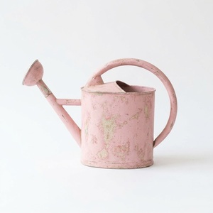 Arrosoir en acier galvanisé au design moderne, finition verdigris vieilli, pour plantes d'intérieur et d'extérieur, décoration de jardin en métal, meilleur prix - Product Image 1