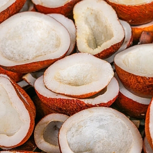 Coco seco entero, maduro y natural para cocinar, preparación culinaria, servicios de catering y suministro al por mayor. - Product Image 6
