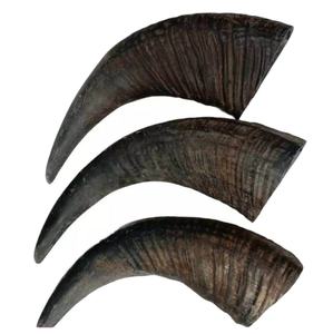 Friandises pour chiens Top Dog Chews en corne de buffle naturelle sculptée, écologiques et durables, à bas prix - Product Image 4