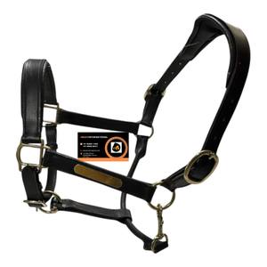 บังเหียนม้าหนังแท้คุณภาพพรีเมียมแบบอังกฤษ พร้อมสายรัดจมูกและสายรัดศีรษะบุนุ่ม – สายรัดศีรษะสำหรับขี่ม้าที่ปรับได้และทนทาน - Product Image 1