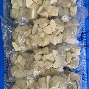 Dés de fruit à pain surgelés en vrac, chair verte et blanche pure, pour la production industrielle alimentaire, en provenance du Vietnam - Product Image 1