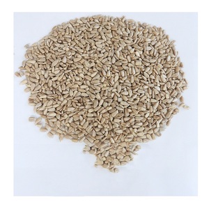 Graines de tournesol / noix au meilleur prix, disponibles en sacs de 25 kg - Product Image 6