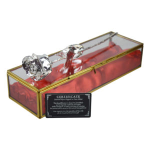 Rose naturelle tendance avec finition argentée, idéale pour un cadeau d'anniversaire, un cadeau de Saint-Valentin, rose naturelle authentique - Product Image 2