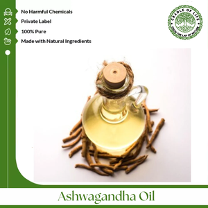 Huile d'extrait de racine d'Ashwagandha sauvage de qualité alimentaire infusée dans un huile végétale, conditionnée en fût - Product Image 4