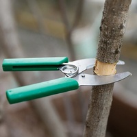 Outil de greffage, cisaille de greffage en forme d'anneau de jardin, couteau à éplucher et à couper les arbres fruitiers du verger