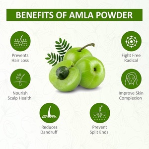 Poudre stimulante pour la croissance naturelle des cheveux, extrait d'herbes Amla, Brahmi, Hibiscus, Moringa, soin du cuir chevelu, mélange nutritif pour les cheveux - Product Image 5