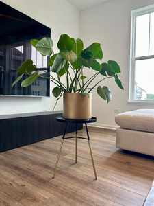 Mesa Auxiliar Redonda de Metal Negro con Patas Doradas, Mesa de Estilo Moderno y Minimalista para Sala de Estar, Dormitorio, Decoración Lateral del Sofá, Elegante - Product Image 1