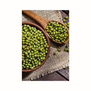 Prix d'usine, qualité supérieure, haricots mungo verts, haricots Vigna, haricots verts - Product Image 3