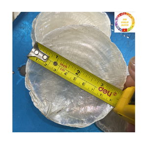 Capiz <b>Shell</b> Chips | 50mm White Round <b>Shell</b> | Not Drilled for Chandelier <b>Lighting</b> | Bulk Export - Product Image 1