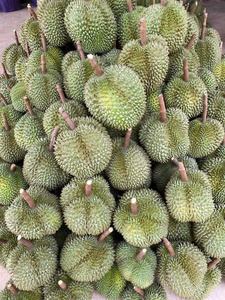 Durian mûr congelé du Vietnam |   Traitement propre |   Exportation en gros - Product Image 6