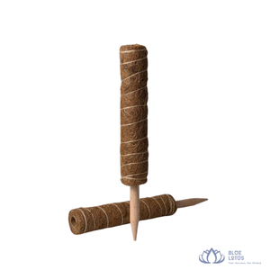 [VENTA EXITOSA] |   Varilla extensible de fibra de coco para entrenamiento de plantas en agricultura, viveros y viñedos, suministro de Vietnam - Product Image 1