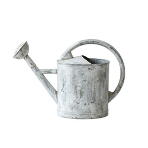 Arrosoir en acier galvanisé blanc de qualité supérieure, décoration de jardin en métal, pot de fleurs décoratif en fer pour usage domestique - Product Image 1