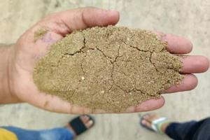 Farine de viande et d'os polie de qualité supérieure pour l'alimentation animale, biologique, riche en protéines, additif protéiné - Product Image 1