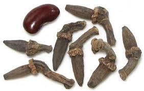 ขายส่ง SWAMIJI WORLD TRADE รากเซโดอารีแห้งแบบแผ่น (Curcuma Zedoaria) สมุนไพรธรรมชาติจากอินเดีย คุณภาพส่งออก - Product Image 2